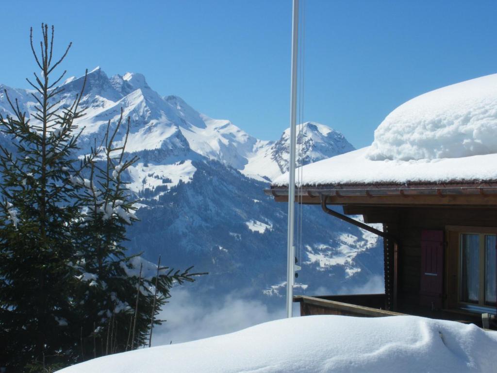 Chalet Blatti Hasliberg Buitenkant foto